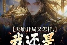 小说《天崩开局又怎样，我还是大唐的王》章节免费阅读-扫文君