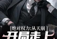 小说《绝对权力：从天崩开局走上官途巅峰》章节阅读-扫文君