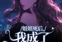 姐姐死后,我成了争夺礼品小说的免费电子版在哪里可以下载或阅读?-扫文君
