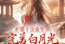 第十次重生，完美白月光她装傻摆烂温幼宜沈暮在线章节免费阅读-扫文君