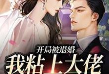 《开局被退婚，我粘上大佬求做主》全集免费在线阅读（许诺陆沉）-扫文君