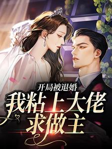 《开局被退婚，我粘上大佬求做主》全集免费在线阅读（许诺陆沉）