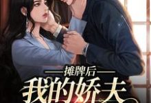 摊牌后，我的娇夫变小弟小说的免费阅读版本在哪里可以找到？-扫文君