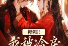 糟糕！我被冷戾帝王缠上了小说完结了吗？在哪里可以免费读到？-扫文君