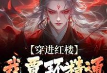 穿进红楼，我贾环精通朝堂争斗小说，穿进红楼，我贾环精通朝堂争斗贾环-扫文君