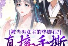《被当男女主的垫脚石?直接手撕剧本》小说章节在线试读,《被当男女主的垫脚石?直接手撕剧本》最新章节目录-扫文君