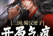 完结版《三国:蜀汉逆子,开局气疯诸葛亮》章节目录在线阅读-扫文君