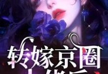 转嫁京圈大佬后，前任悔不当初苏婉禾司北琛小说在线章节免费阅读-扫文君
