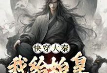 已完结小说《快穿大秦：我给始皇当左相》最新章节-扫文君