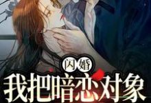 完结版《闪婚,我把暗恋对象抱回了家》免费阅读-扫文君