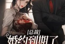 小说《总裁，婚约到期了，麻烦请放手》章节阅读-扫文君