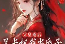 免费看父皇逝后，兄长把我当质子送去敌国小说的网站有哪些？-扫文君