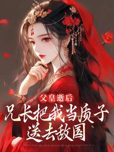 免费看父皇逝后，兄长把我当质子送去敌国小说的网站有哪些？
