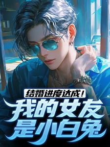 陆祁明赖娇娇小说叫什么（结婚进度达成！我的女友是小白兔免费阅读）