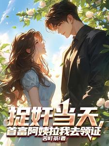叶安小说捉奸当天，首富阿姨拉我去领证章节免费阅读