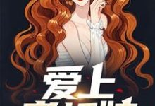 寻找能够免费阅读爱上老板娘小说的平台-扫文君