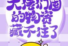 抢穿末日：大佬们囤的物资藏不住了许安，抢穿末日：大佬们囤的物资藏不住了小说免费阅读-扫文君