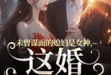 《未曾谋面的媳妇是女神，这婚不离了》小说章节列表免费试读，顾衍掣盛知夏小说在线阅读-扫文君