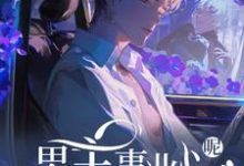 免费在线阅读快穿：男主事业心呢，怎么全是恋爱脑小说的正规网站有哪些？-扫文君