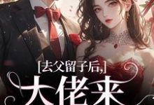 去父留子后，大佬来抓我啦小说完结了吗？在哪里可以免费读到？-扫文君