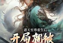 诸天至尊重生后，开局就被频频挑衅最新章节，诸天至尊重生后，开局就被频频挑衅免费阅读-扫文君