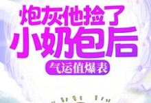 小说《炮灰他捡了小奶包后，气运值爆表》章节阅读-扫文君