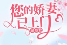 您的娇妻已上门，请签收小说，您的娇妻已上门，请签收韩星陆听闻-扫文君