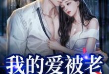 替身不让位：段少红眼求原谅小说有没有完整的免费版本在线阅读？-扫文君