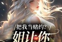 把我当赌约？姐让你跪地求饶小说，把我当赌约？姐让你跪地求饶最新章节-扫文君
