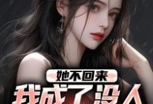 她不回来，我成了没人敢惹的混混小说完结了吗？在哪里可以免费读到？-扫文君