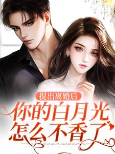 小说《提出离婚后，你的白月光怎么不香了》章节阅读