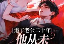 追了老公二十年，他从未认真对待我宋昔陆宴洲小说完结版章节在线阅读-扫文君