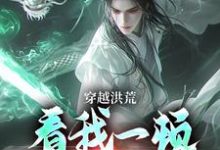 小说《穿越洪荒：看我一顿骚操作》章节阅读-扫文君
