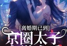 《离婚期已到！京圈太子卑微求爱》小说沈青瓷席星野章节章节免费在线阅读-扫文君