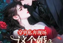 已完结小说《穿到私奔现场，这个婚离不了一点》在线章节阅读-扫文君