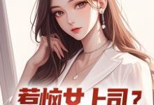 惹恼女上司？我有妙计摆平这本小说在哪里可以看？哪里有免费试读章节？-扫文君