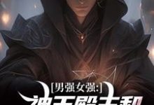 《男强女强：神王殿主和女特工闪婚了》小说大结局免费试读 林晨叶寒霜小说-扫文君