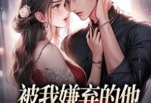 被我嫌弃的他，竟成了我的港湾小说，被我嫌弃的他，竟成了我的港湾在线阅读-扫文君