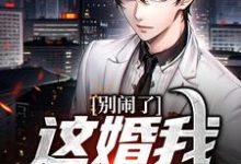 已完结小说《别闹了,这婚我离定了》章节免费阅读-扫文君