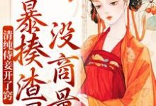 清纯侍妾开了窍，暴揍渣男没商量（凌曦沈晏）在线免费阅读-扫文君