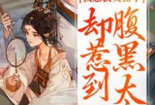 已完结小说《我想去父留子，却惹到腹黑太子》章节在线阅读-扫文君
