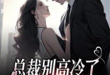 总裁别高冷了,夫人离家出走了谢之南林乔,总裁别高冷了,夫人离家出走了小说免费阅读-扫文君