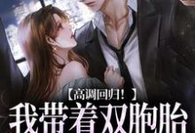 高调回归！我带着双胞胎虐他来了小说，高调回归！我带着双胞胎虐他来了最新章节-扫文君