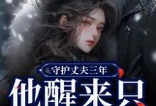 守护丈夫三年，他醒来只要白月光季司予鹿晚星，守护丈夫三年，他醒来只要白月光小说免费阅读-扫文君