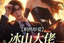 无删减版《炽热厚爱：冰山大佬逼我结婚》在线阅读-扫文君