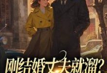 刚结婚丈夫就溜？姐真不吃人！丁遥香陆舰，刚结婚丈夫就溜？姐真不吃人！在线无弹窗阅读-扫文君