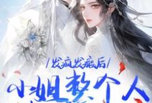《发疯发癫后，小姐整个人都美好了》小说大结局免费试读 沈昭宁宋文轩小说-扫文君