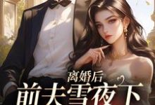 小说《离婚后，前夫雪夜下跪求回头》在线阅读-扫文君