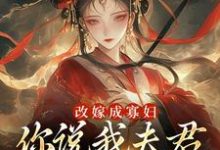 宋芜小说叫什么（改嫁成寡妇，你说我夫君又复活了？免费阅读）-扫文君