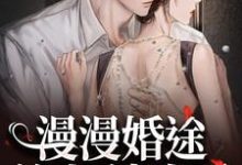 迟今小说在线免费阅读(漫漫婚途:前夫,请自重无弹窗无删减)-扫文君